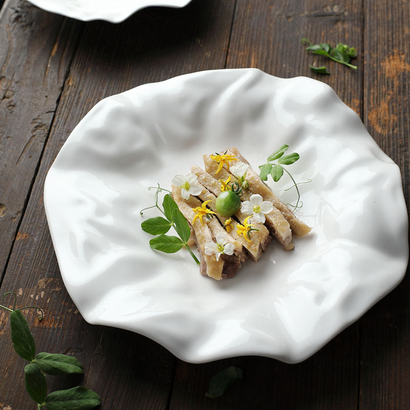 Ceramic Modern Cuisine Plate